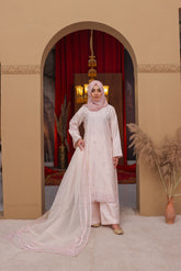 ZZ-Light-Pink-134 / 3PC